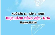 Soạn bài Thực hành tiếng Việt trang 36 Ngữ văn lớp 11 Kết nối tri thức tập 1